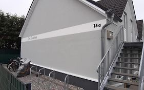 Zaunkönig 1